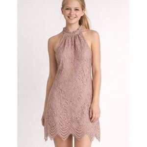 MiAmi Dress Lace Romantic Pink Taupe Sleeveless Dress Size XS Lined